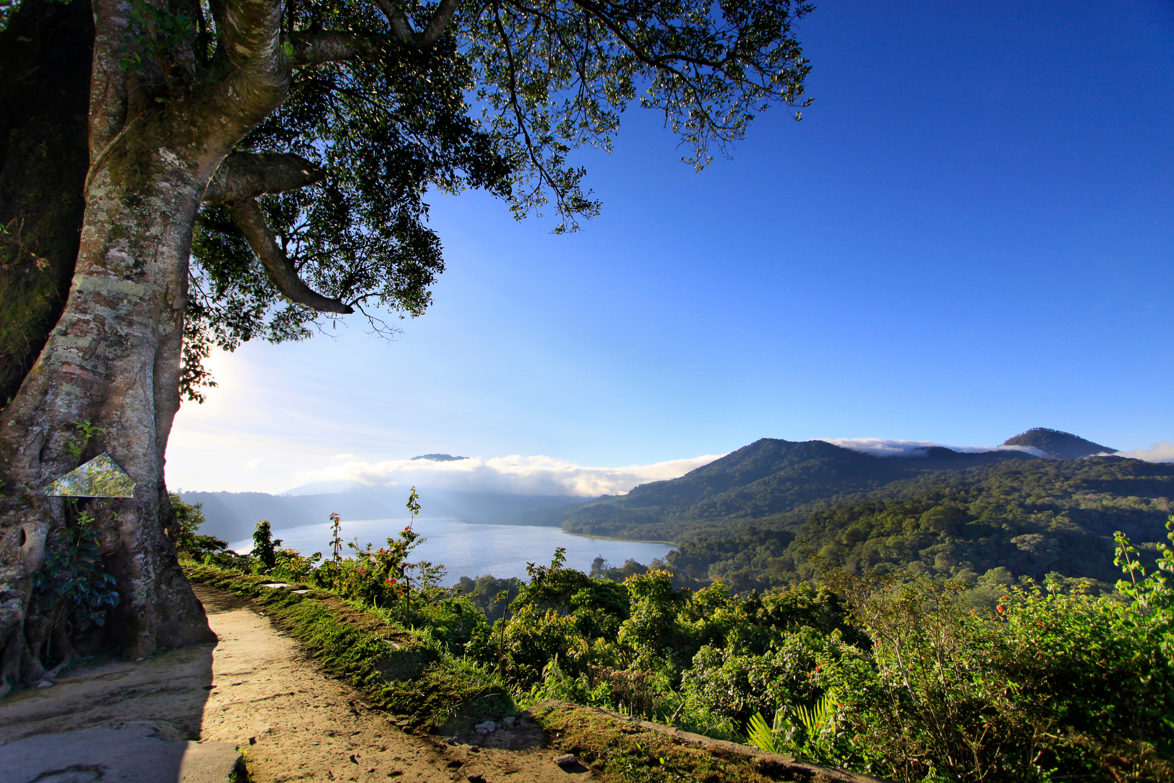 munduk, bali.webp